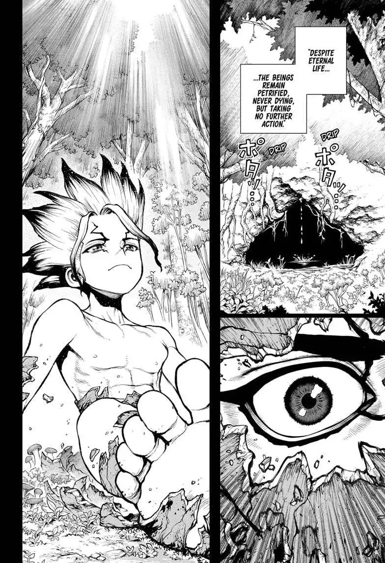 Dr. Stone Chapter 229 13